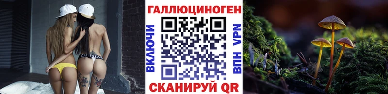Псилоцибиновые грибы Psilocybine cubensis Истра